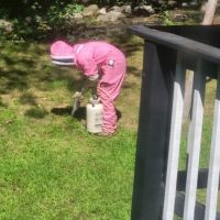 Cole's Pest Control ico