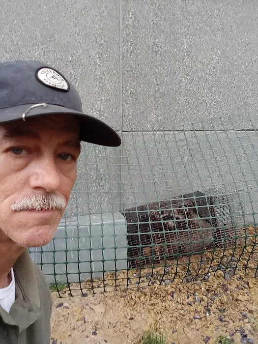 Tri-State Wildlife Exclusion Picture 10
