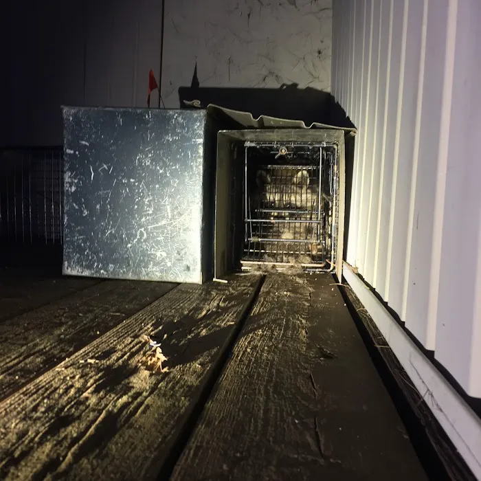 Tri-State Wildlife Exclusion Picture 4