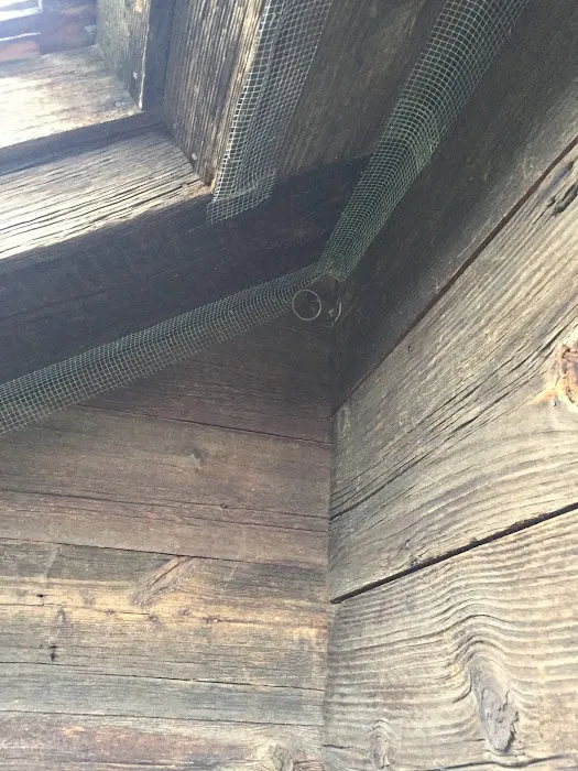 Tri-State Wildlife Exclusion Picture 7