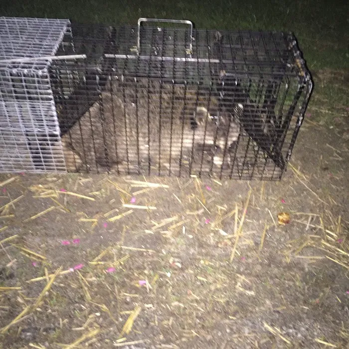 Tri-State Wildlife Exclusion Picture 3