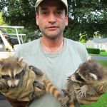 All Humane Wildlife Removal