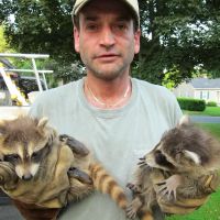 All Humane Wildlife Removal ico