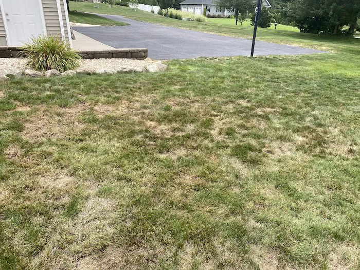 New England Lawn Care Inc Picture 9