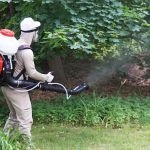 Graduate Pest Solutions Inc.