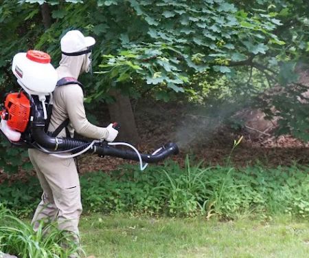 Graduate Pest Solutions Inc.