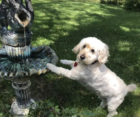 Cape Cod Tick Control