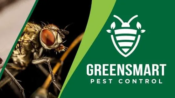 Green Smart Pest Control, LLC Picture 4