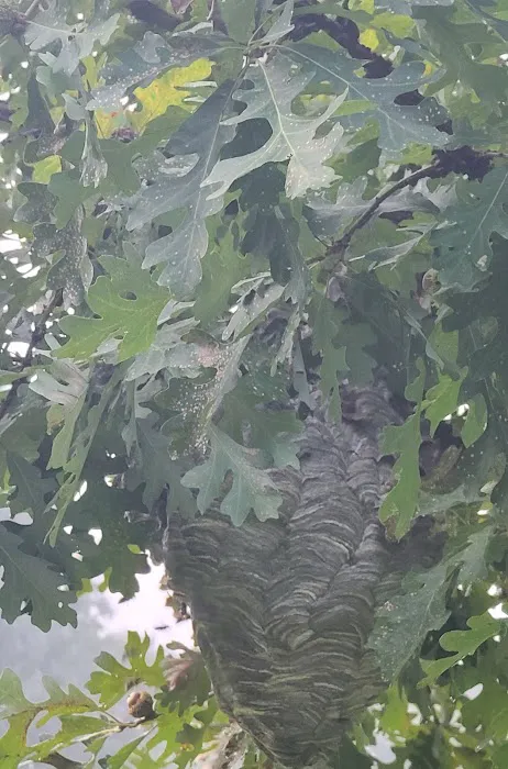 Green Smart Pest Control, LLC Picture 2
