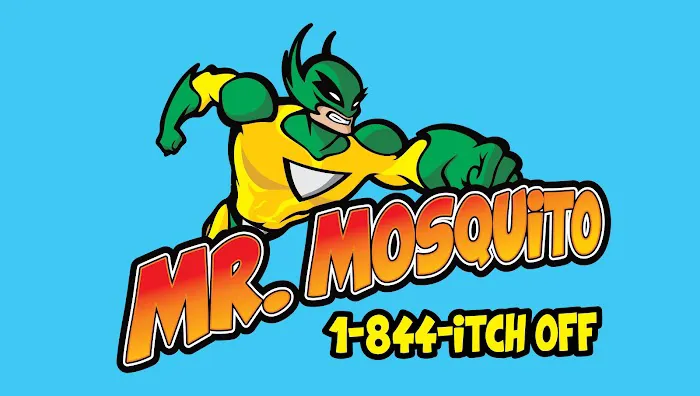 Mr. Mosquito Picture 2