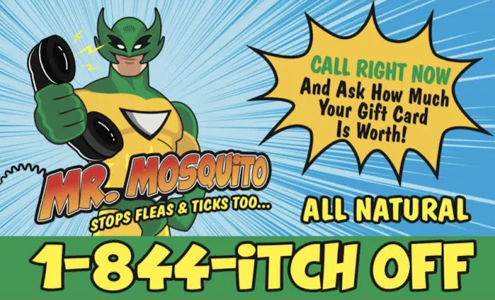 Mr. Mosquito Picture 7