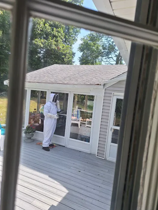 Debug Pest Control - Rhode Island Picture 10