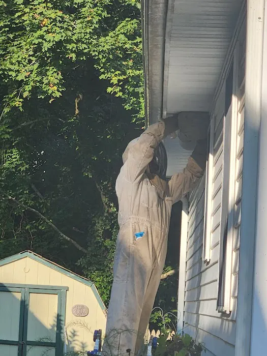 Debug Pest Control - Rhode Island Picture 9