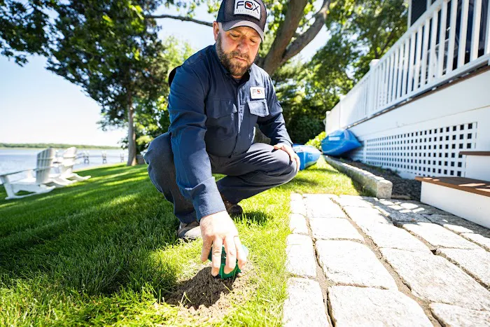 Fox Pest Control Rhode Island Picture 10