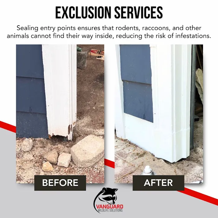 Vanguard Wildlife Solutions Picture 6