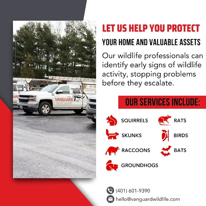 Vanguard Wildlife Solutions Picture 10