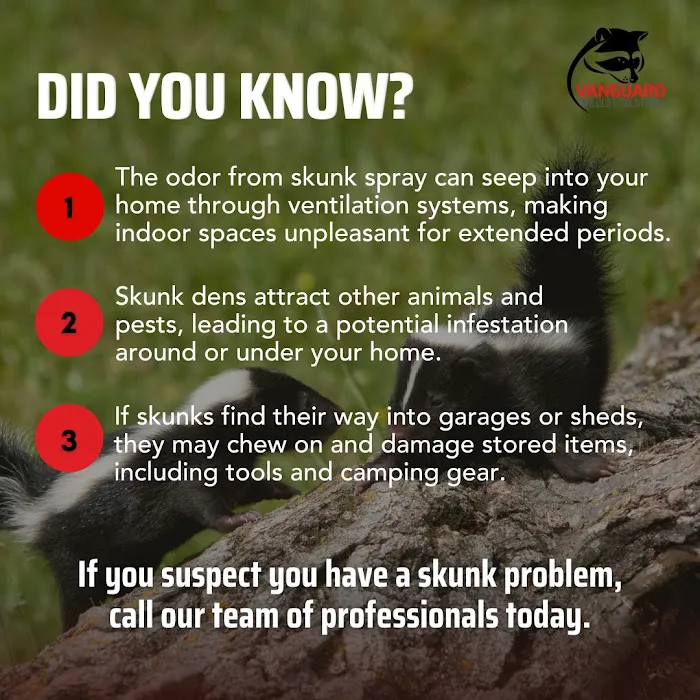 Vanguard Wildlife Solutions Picture 5