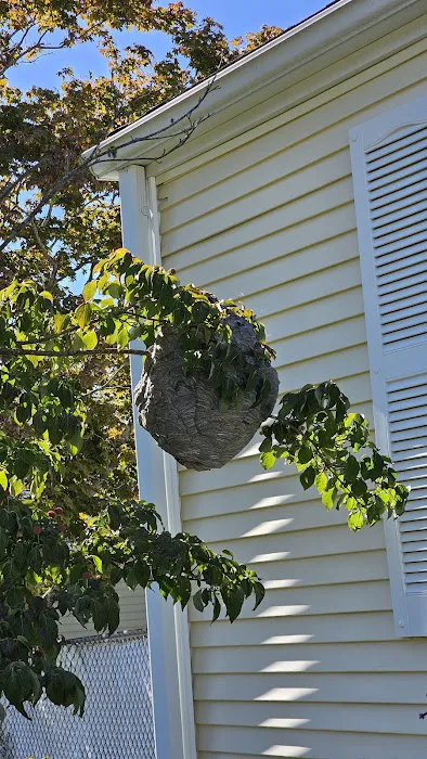 Allstate Pest Control Picture 2