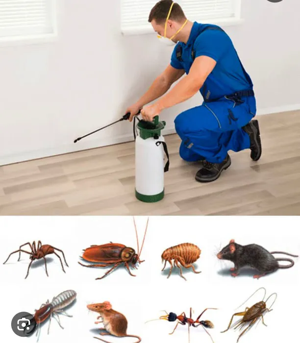 Allstate Pest Control Picture 6