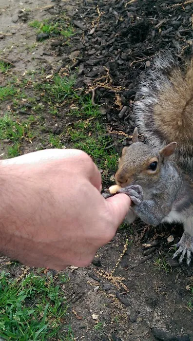 Ground Level Pest Control Picture 3