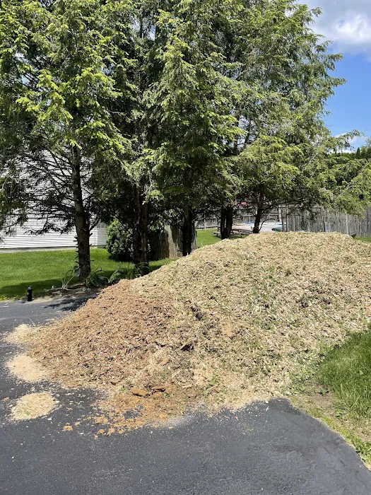 Ground Level Pest Control Picture 7