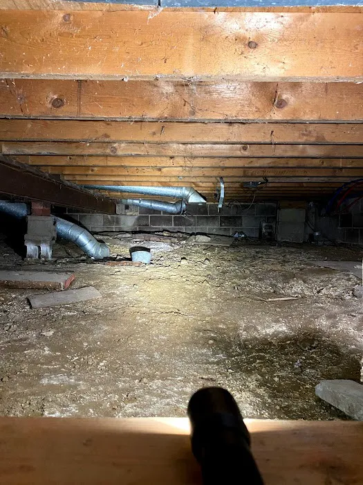 Brinx Professional Pest Control Picture 2
