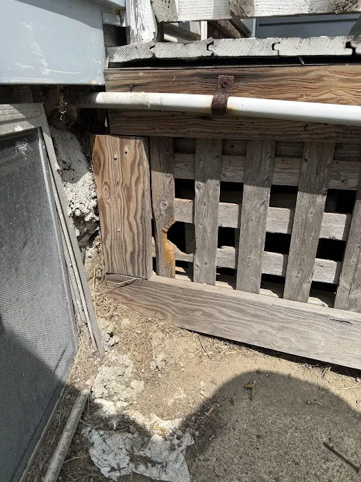 Brinx Professional Pest Control Picture 5