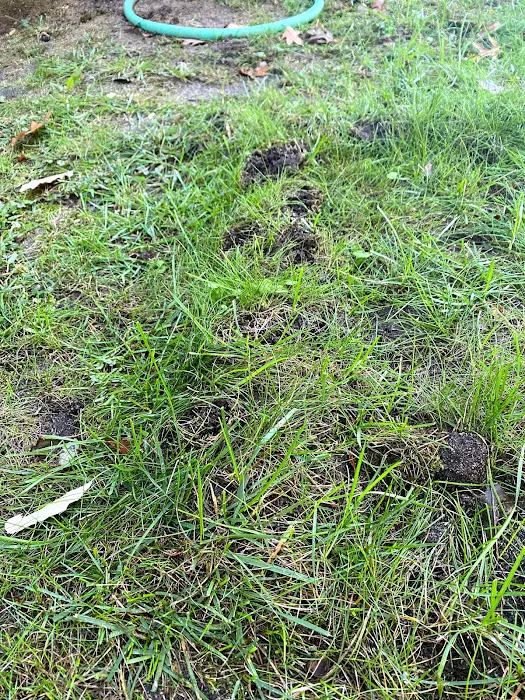 Brinx Professional Pest Control Picture 10