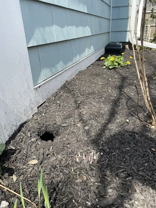 Brinx Professional Pest Control Picture 8