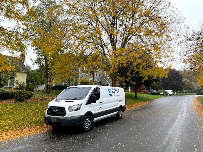 Brinx Professional Pest Control Picture 9