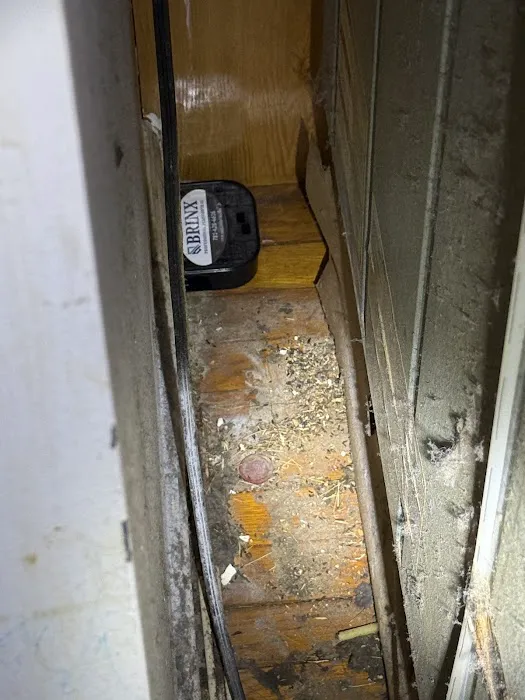 Brinx Professional Pest Control Picture 3