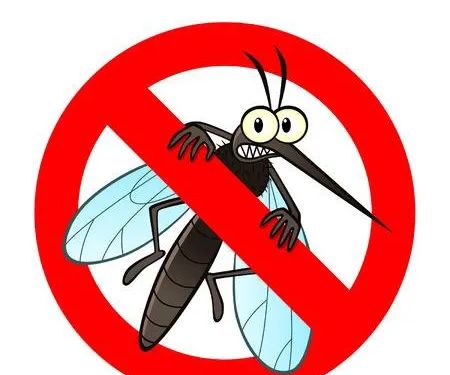 S&P Tick and Mosquito