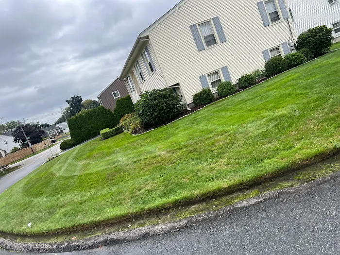 4everGreen Turf Management Picture 7