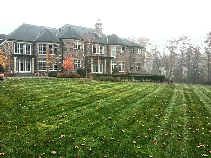 4everGreen Turf Management Picture 9
