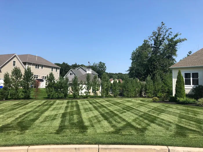 4everGreen Turf Management Picture 3
