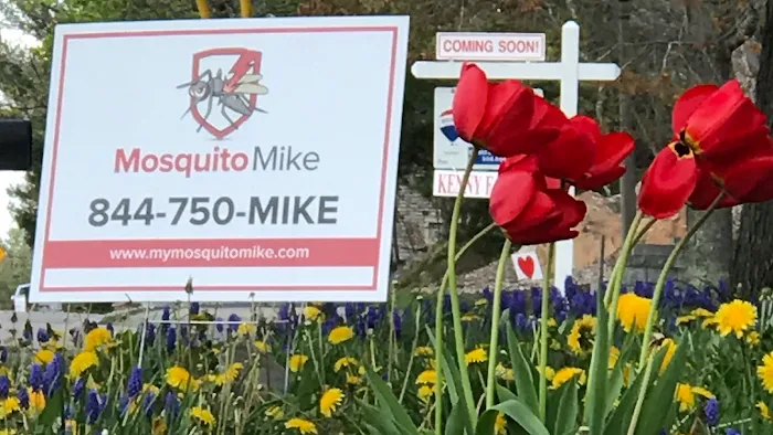 Mosquito Mike Picture 1