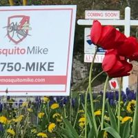 Mosquito Mike ico