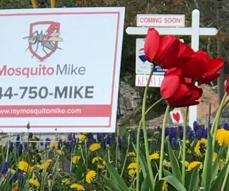 Mosquito Mike