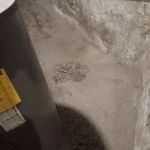 Exterminator Assured