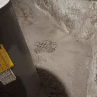 Exterminator Assured ico