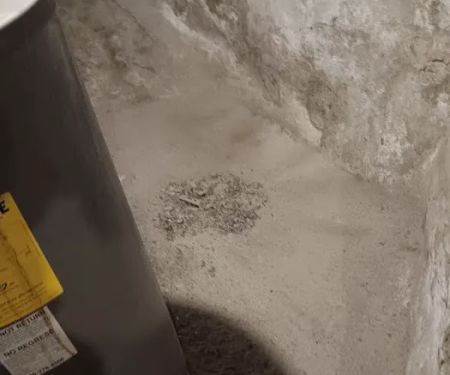 Exterminator Assured