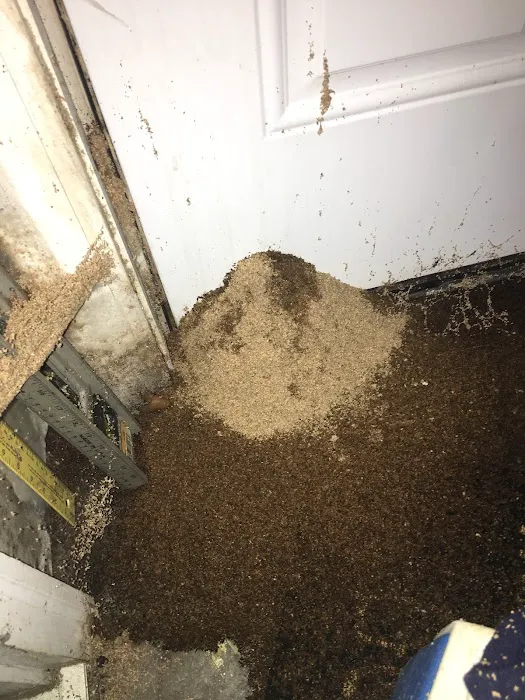 Exterminator Assured Picture 4