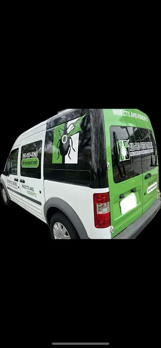 All-Pro Pest Control Picture 7