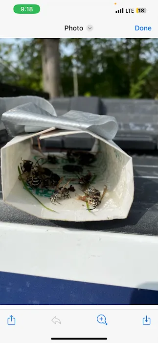 All-Pro Pest Control Picture 1