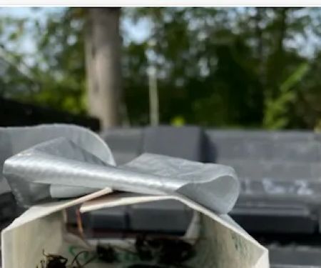 All-Pro Pest Control