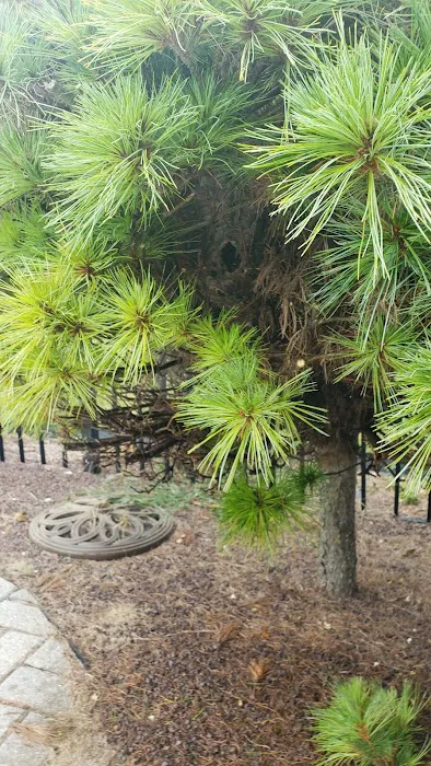 Royal Termite Control, Inc Picture 8