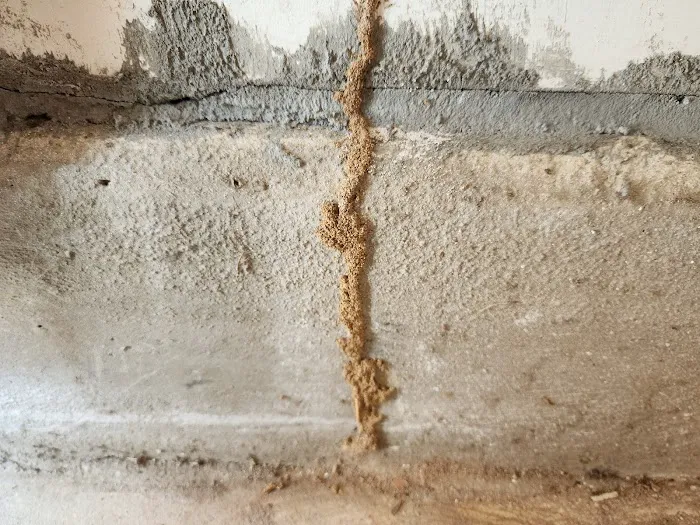 Royal Termite Control, Inc Picture 7