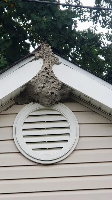 Royal Termite Control, Inc Picture 2