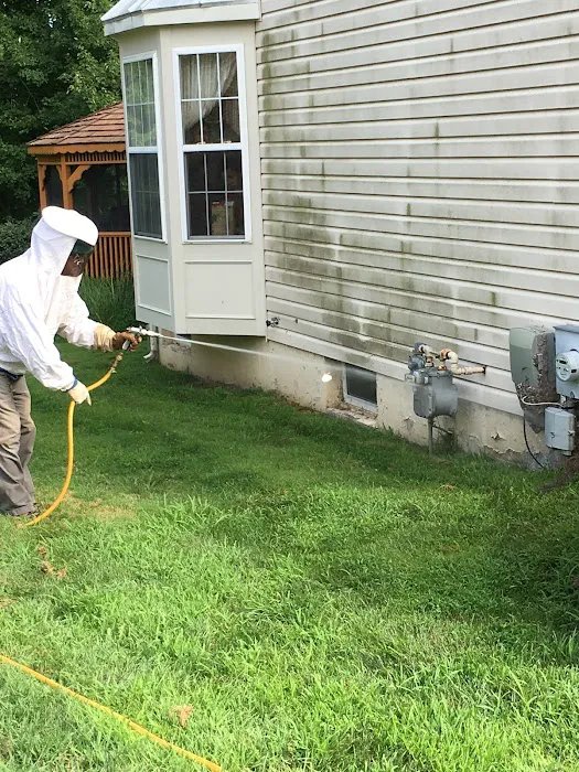 Absolute Pest Services Picture 3