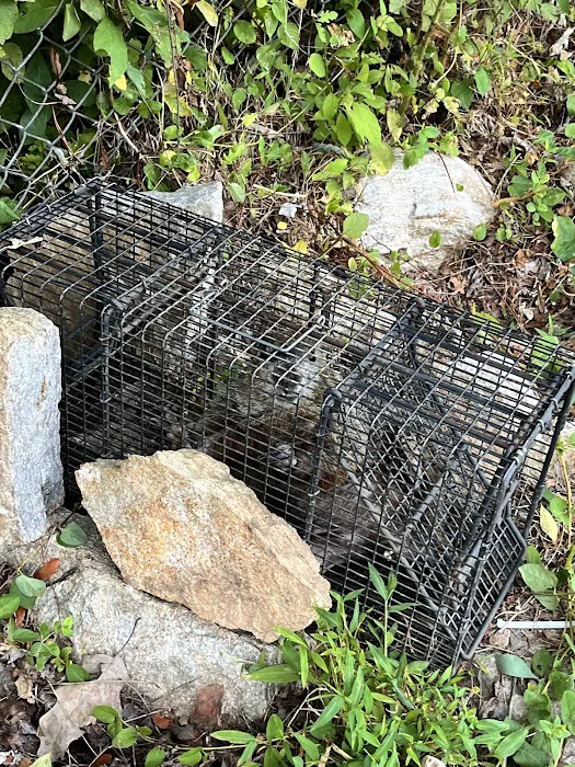 Absolute Pest Services Picture 5